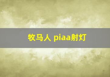 牧马人 piaa射灯